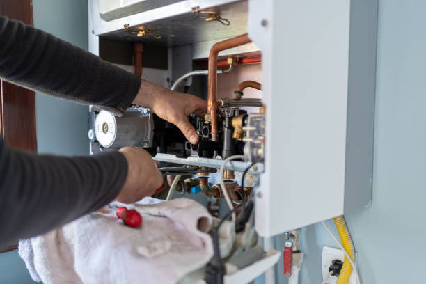 Best Local Plumber Services  in Wayne, OH